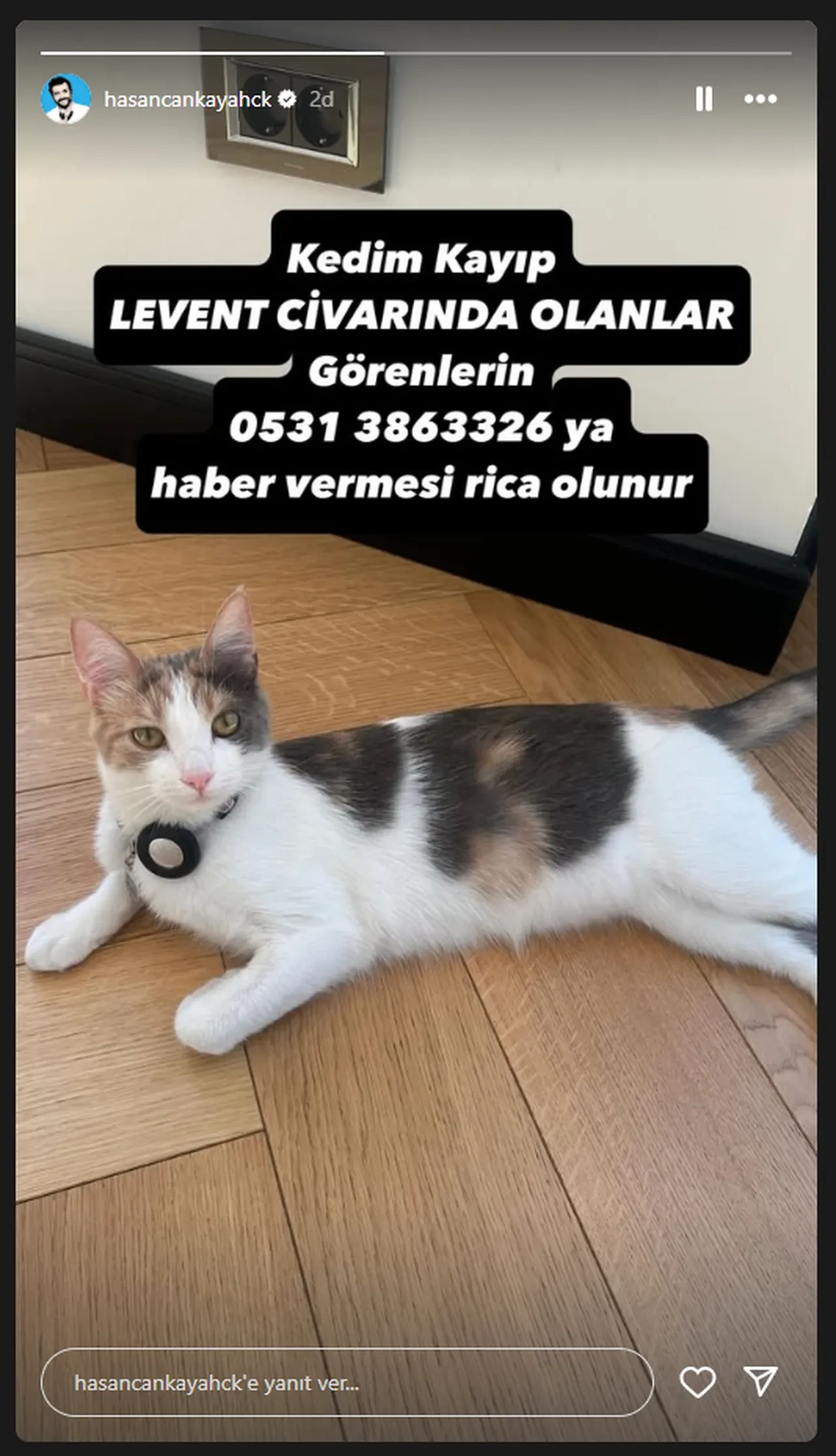 Hasan Can Kaya sokak sokak aramaya çıktı!
