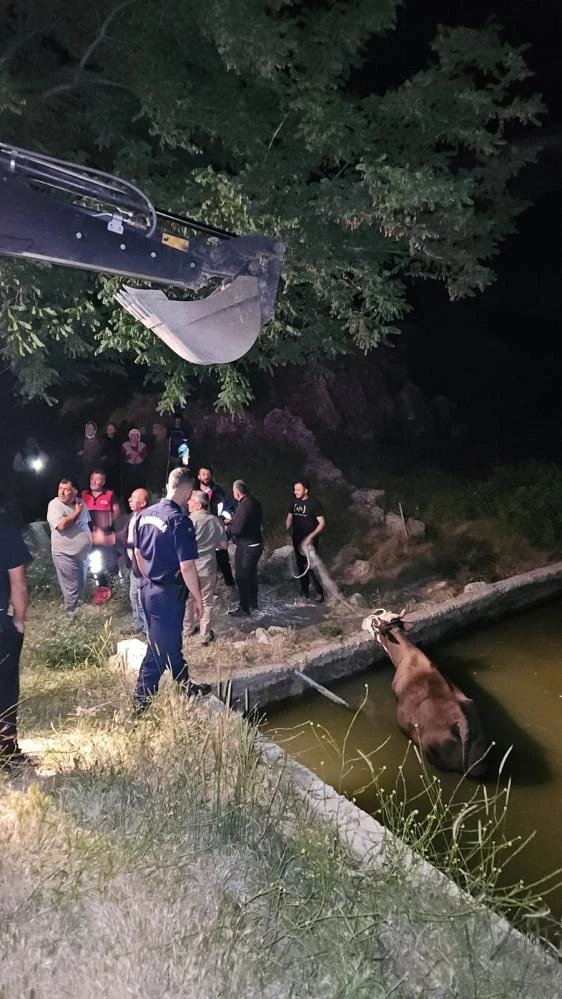 Gölbaşı'nda inek kurtarma operasyonu