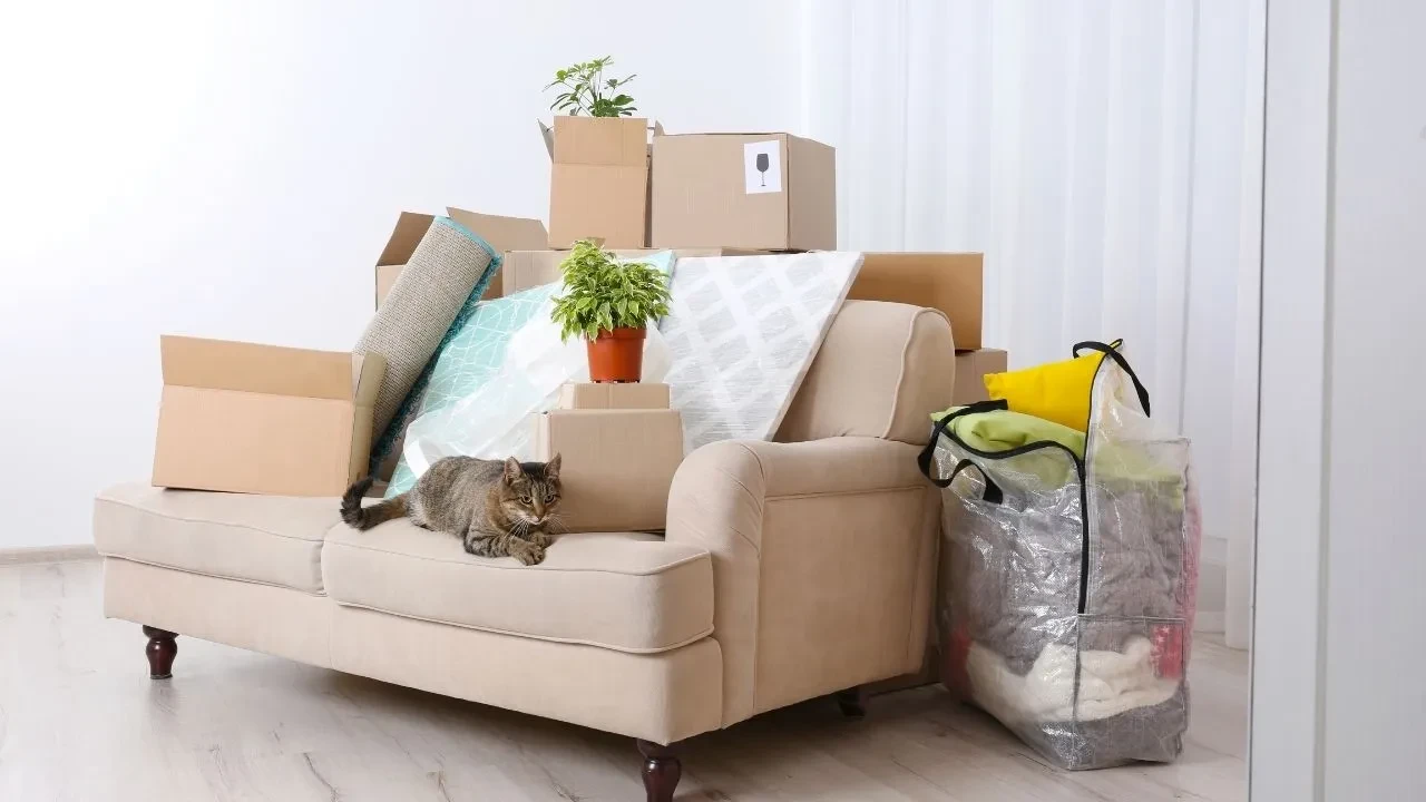 Online sipariş ile alınan ve pişman olunan 10 ürün! Alan keşke almasaydım diyor