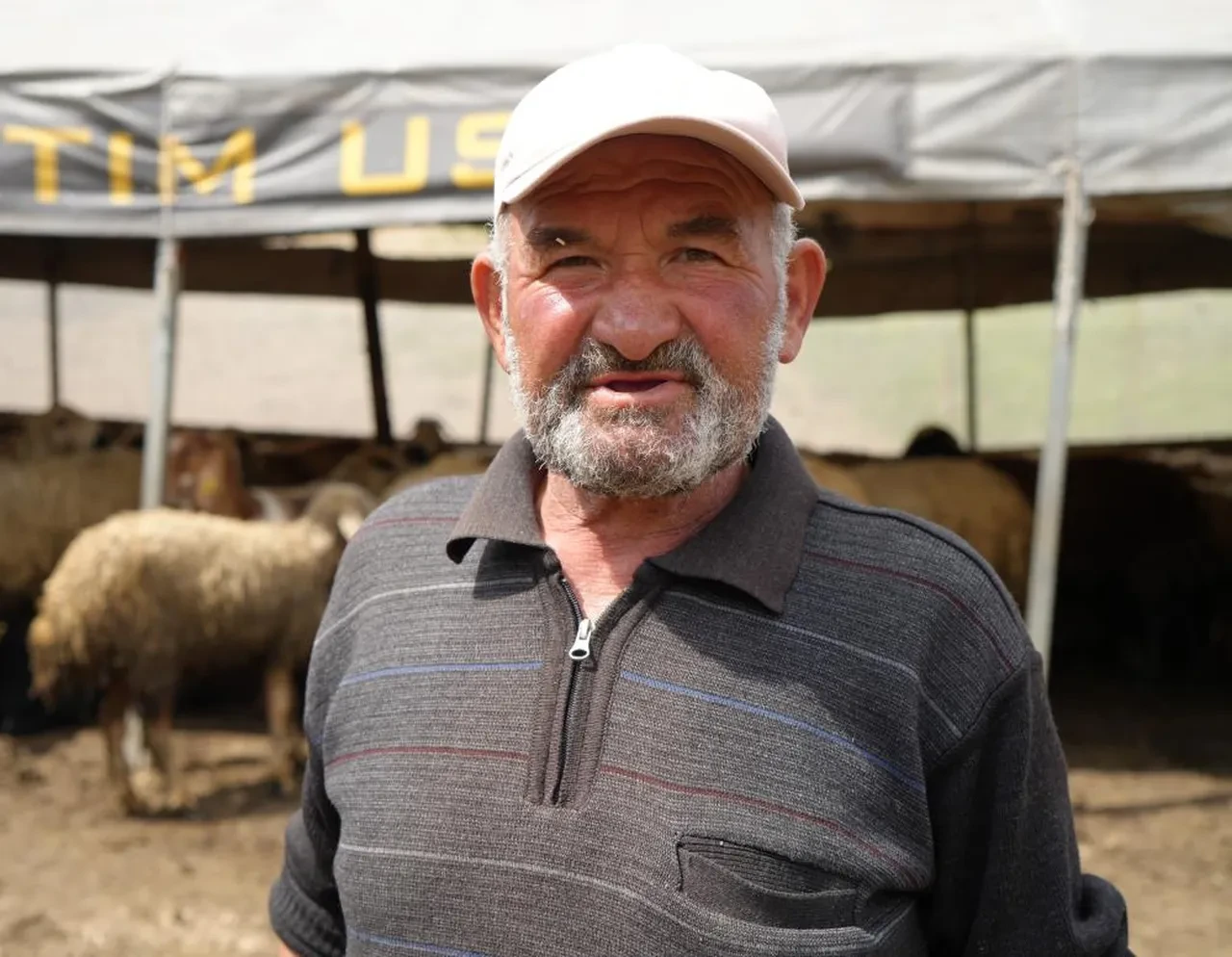 Bir kuzuyla büyüttüğü sürüsünü sabah korkunç halde buldu! Olayı gözyaşları içinde anlattı