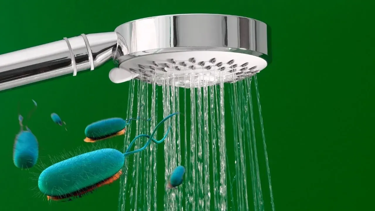 Duş için en doğru zaman açıklandı: Her 10 kişiden 8'i yanlış sırayla duş alıyor