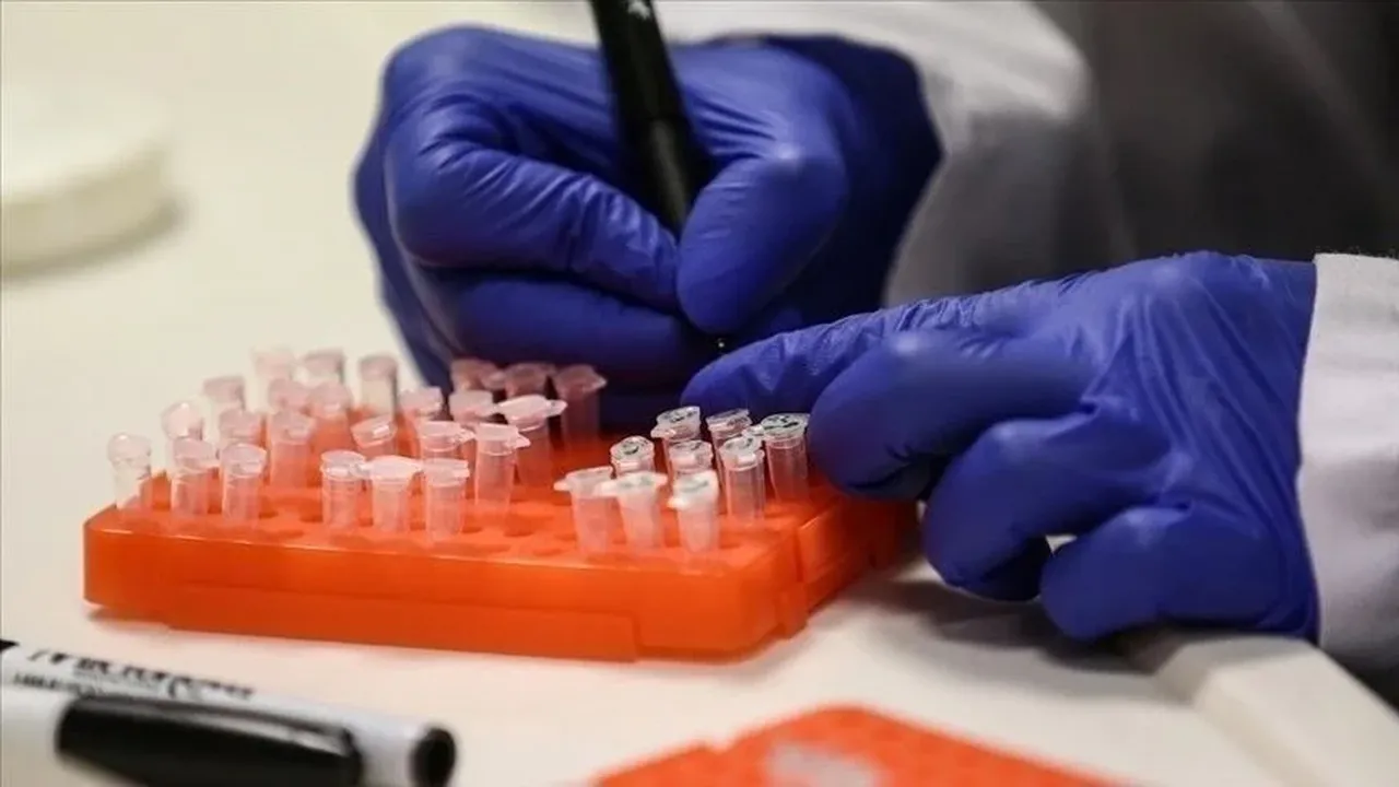 Hem hayvan hem de insanlardan bulaşan virüs için alarm verildi? Vakalar artıyor