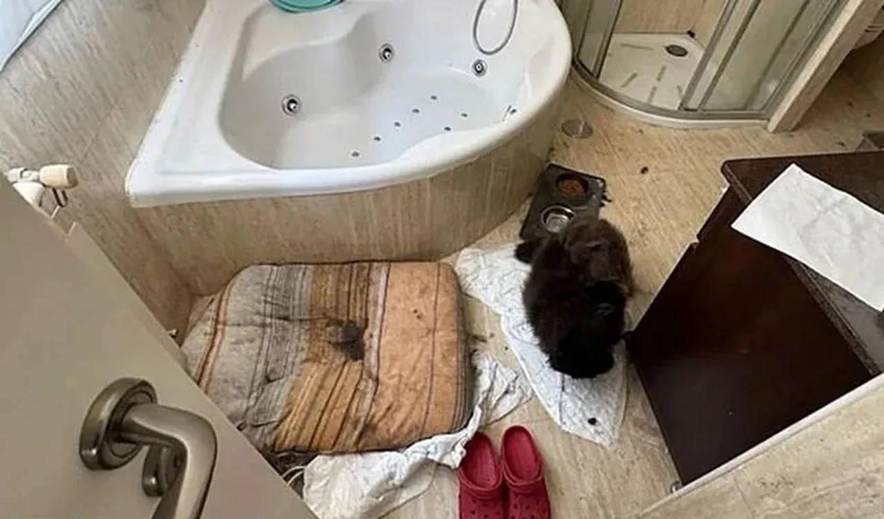 Ülke çapındaki elektrik kesintisi dehşet evini ortaya çıkardı: Çocuklar senelerdir evde tutuluyordu!