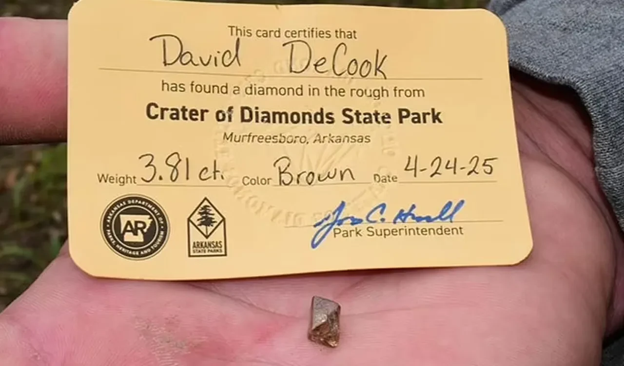 Bu parktan adeta elmas fışkırıyor! Çöp zannetti hazine buldu