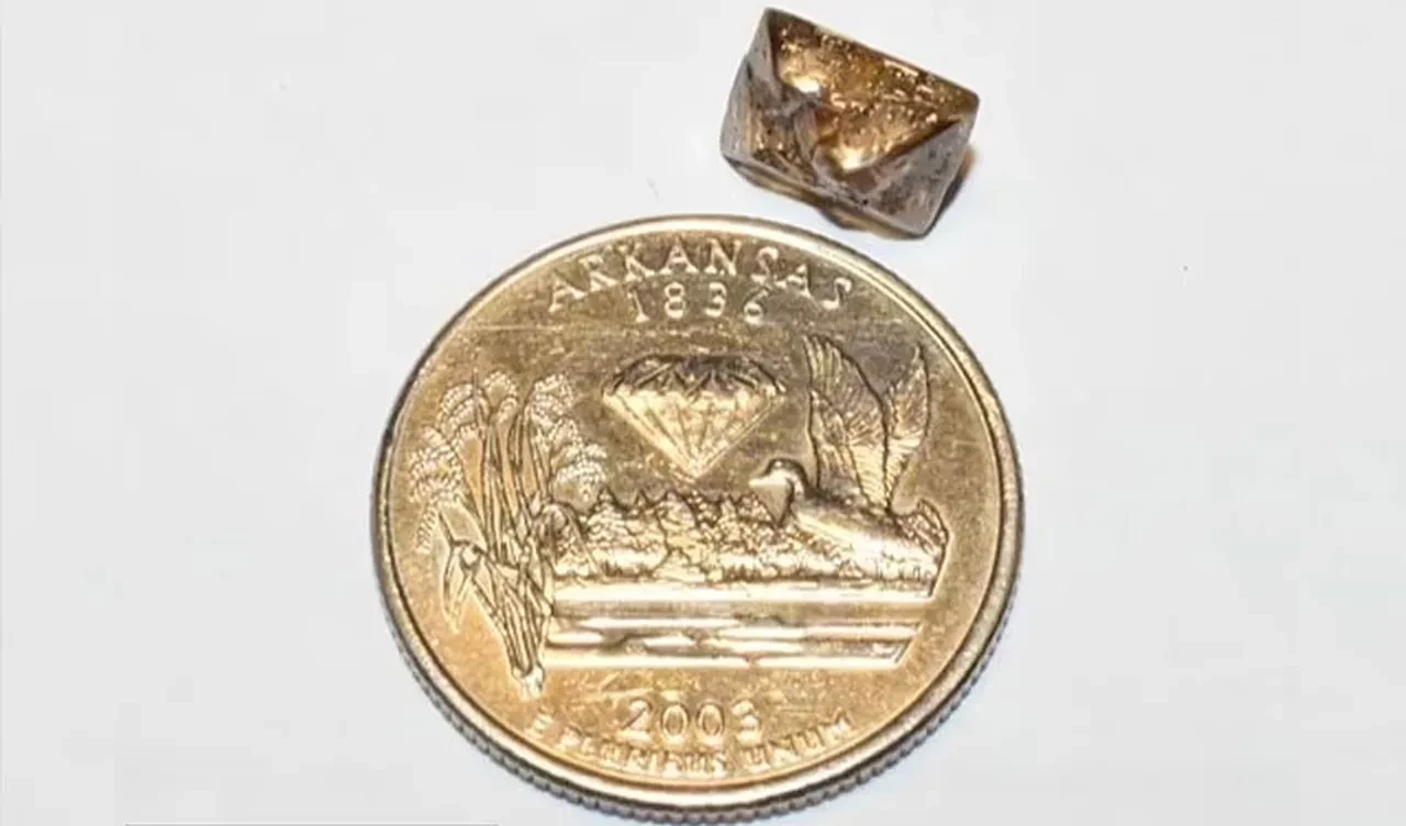 Bu parktan adeta elmas fışkırıyor! Çöp zannetti hazine buldu