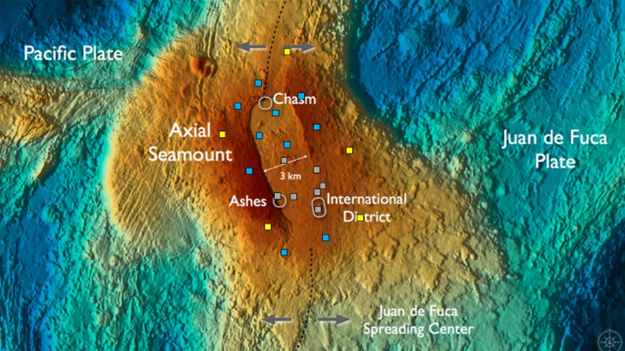 Denizin dibinde patlamaya hazır bir bomba! Burada her gün yüzlerce deprem oluyor
