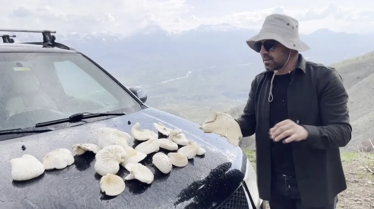 Doğada nadir bulunuyor! Pazarda kilosu bin 250 TL'den satılıyor!