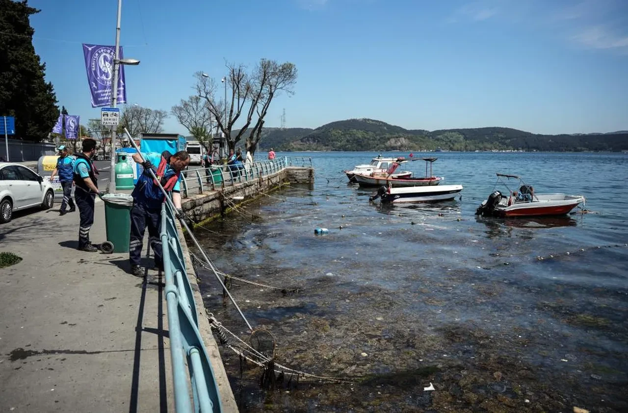 İstanbul Boğazı'nda iğrendiren görüntü! Müsilaj tehdidi giderek artıyor