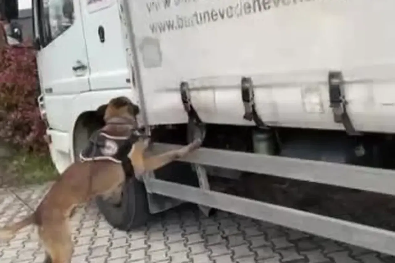 Kocaeli'de büyük uyuşturucu operasyonu! Klima detayı dikkat çekti