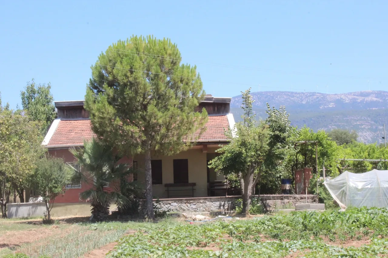 Pınar Gültekin davasında bir ağır darbe daha! 'Canavarca his' olduğuna yargı ikna olmuyor