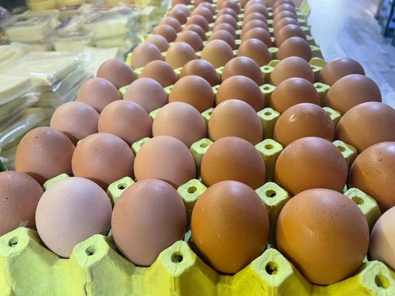 Yumurta kabuğunda hazine yatıyor! En stratejik kaynak