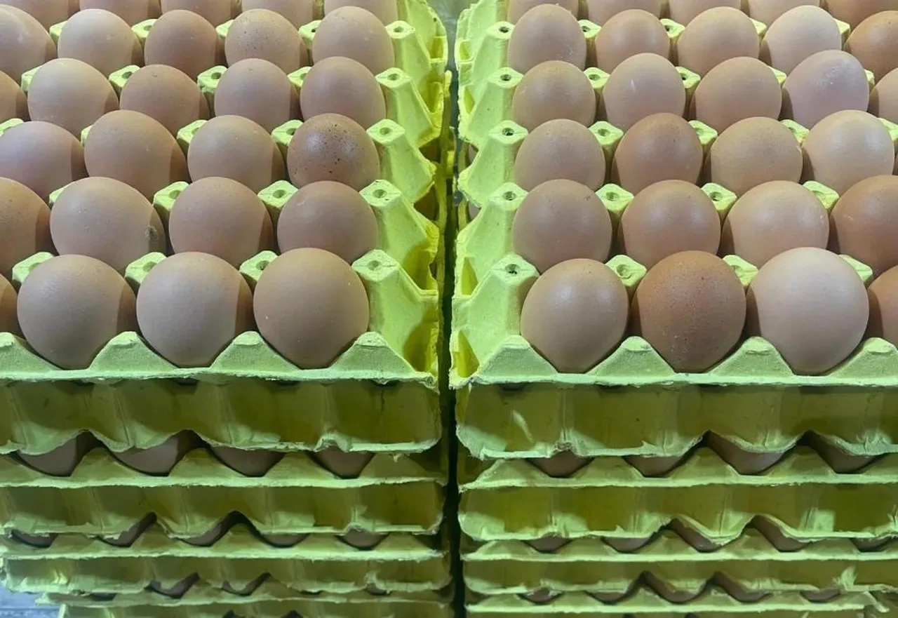 Yumurta kabuğunda hazine yatıyor! En stratejik kaynak