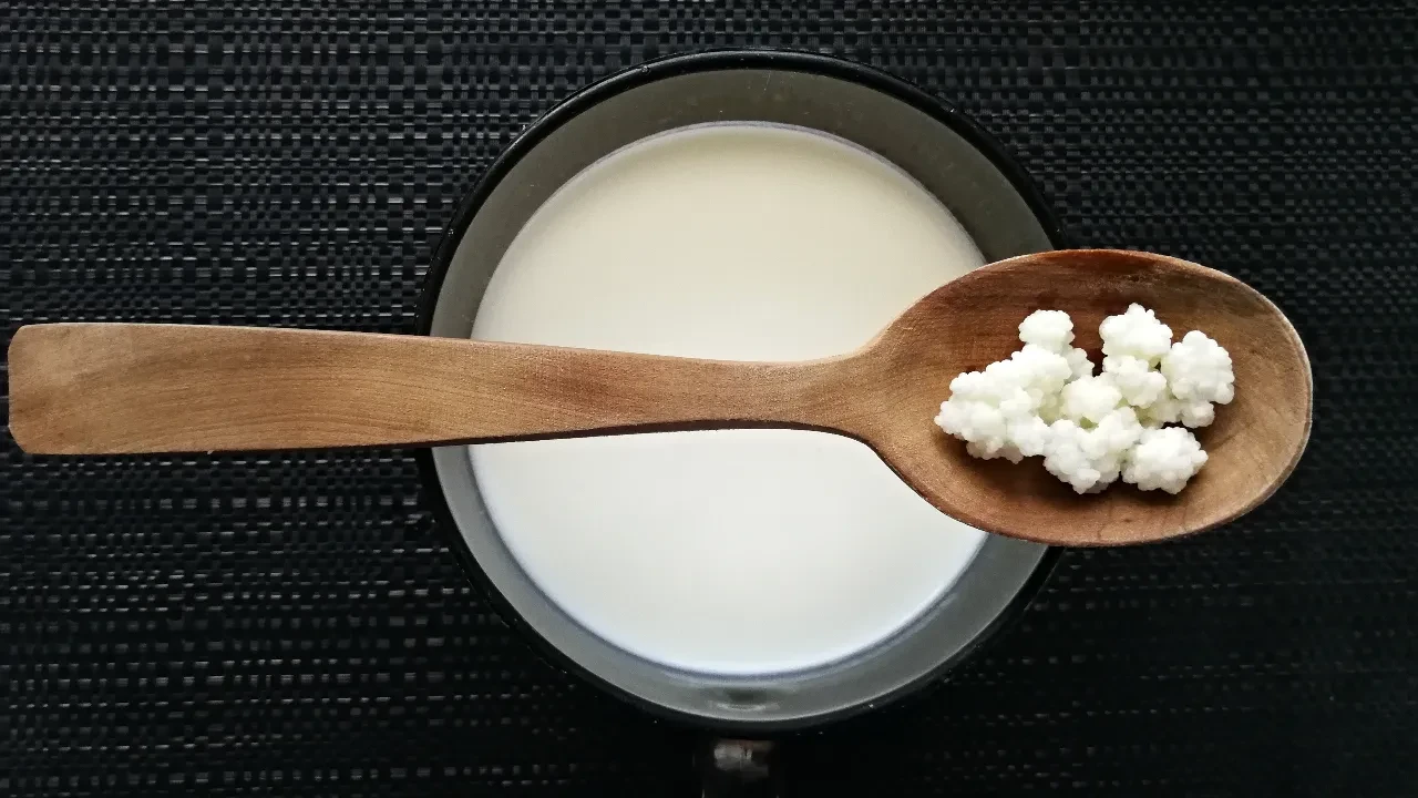 Kefir nedir nasıl içilir? Bin bir derde deva olduğunu biliyor muydunuz?