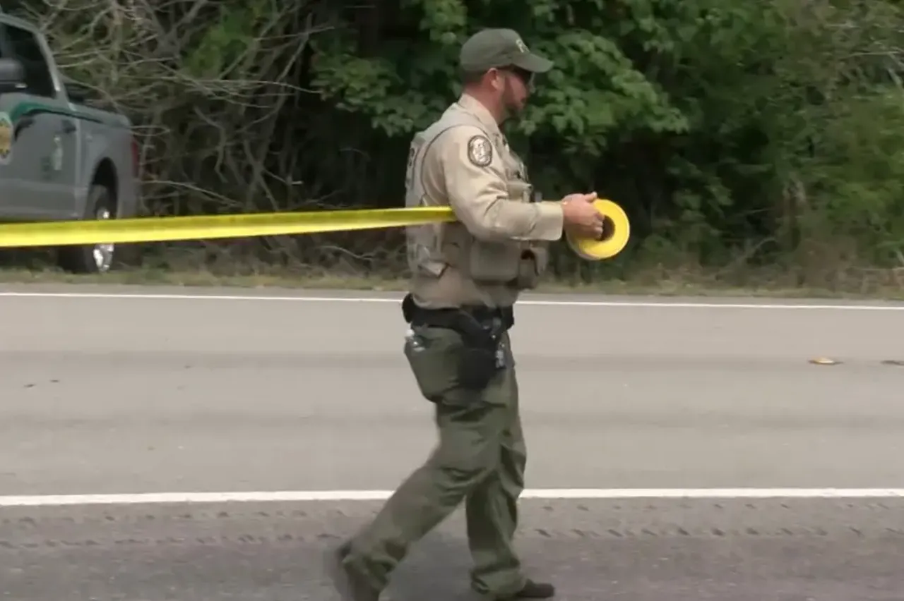 Timsah şehrinde şimdi de ayı tehlikesi! Yaşlı adamın ve köpeğinin cesedi parçalanmış halde bulundu