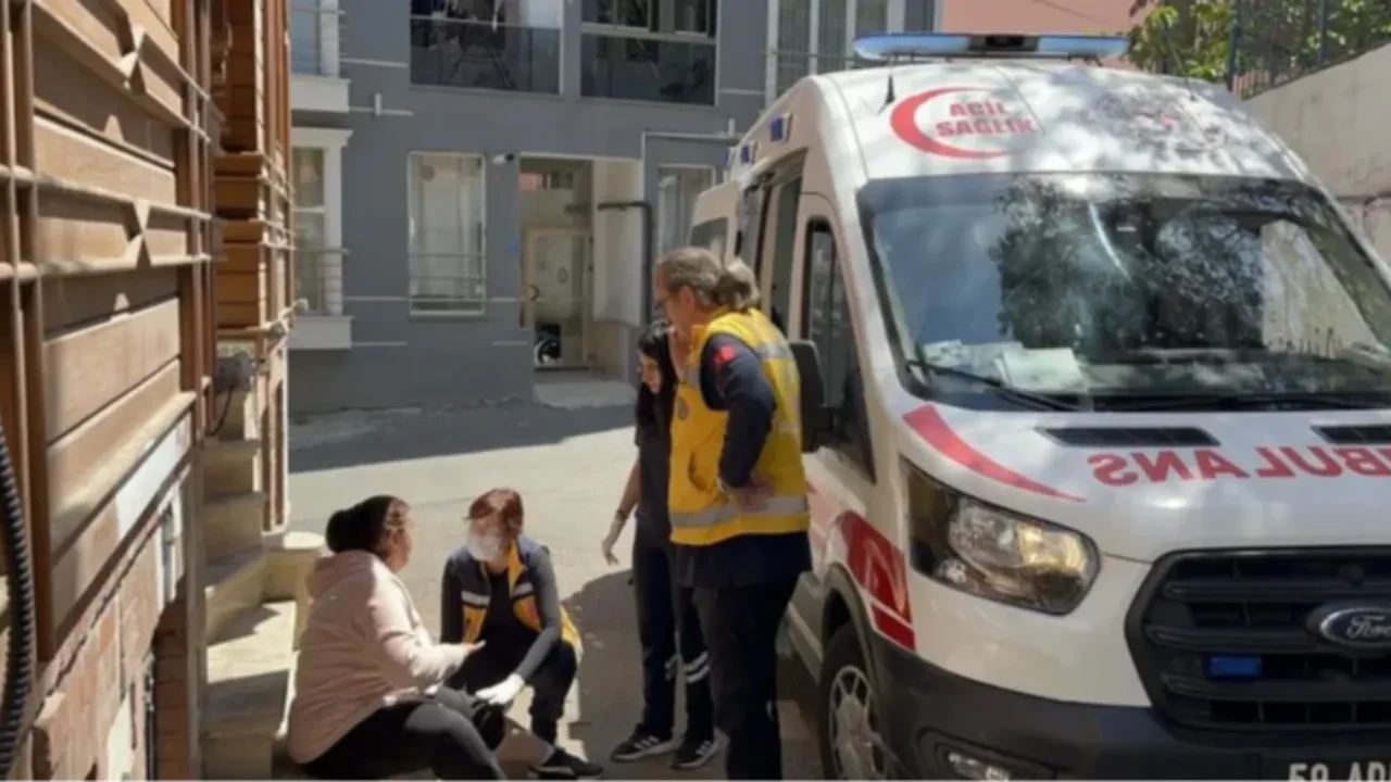 Yine bir başıboş köpek dehşeti! Acı içinde yardım istedi