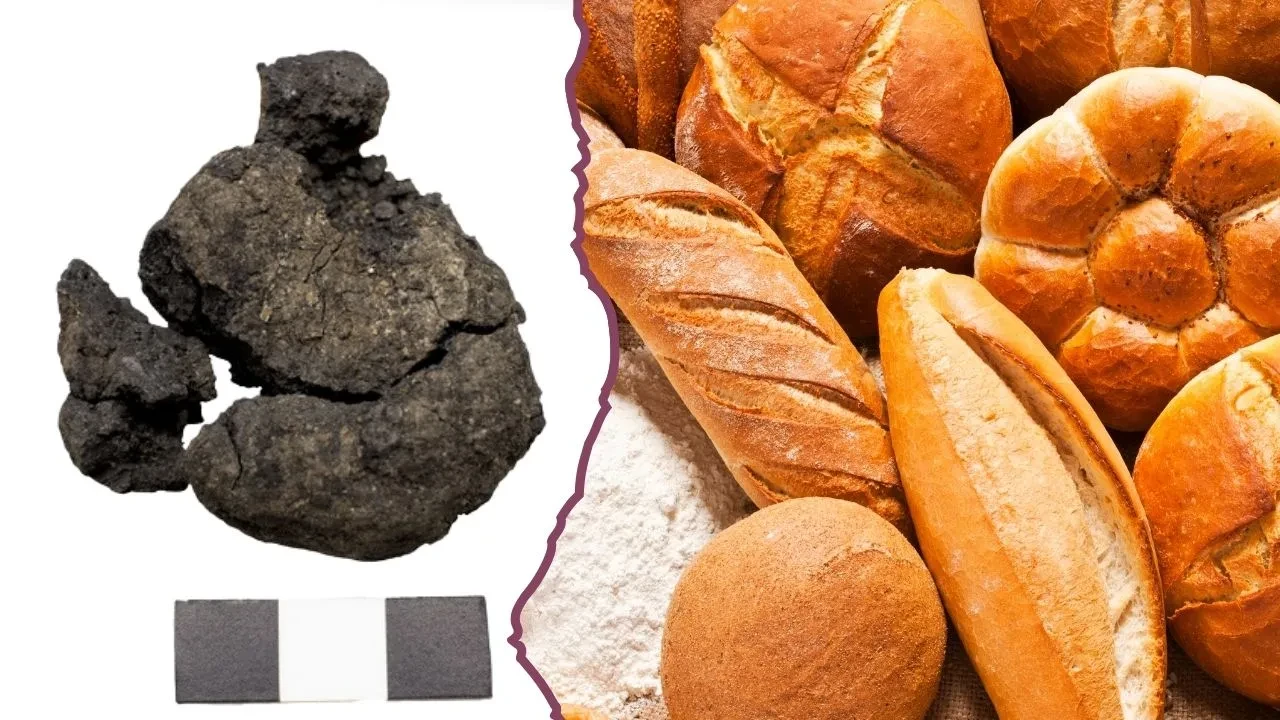 8600 yıllık ekmek kalıntısı: Geçmişin fırın yapısı keşfedildi