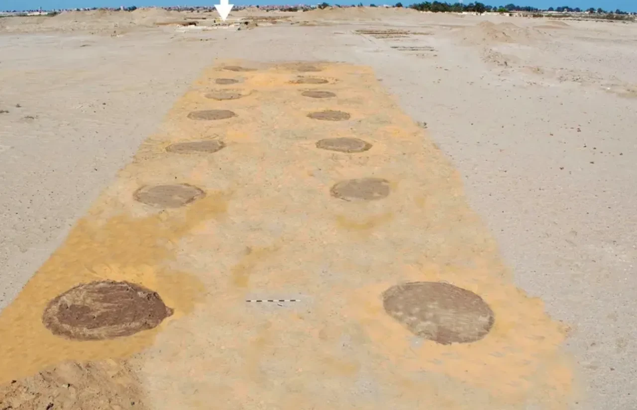 Çölün tam ortasında yüzlerce ağaç varmış! Gizli bahçe 2000 yıl sonra bulundu