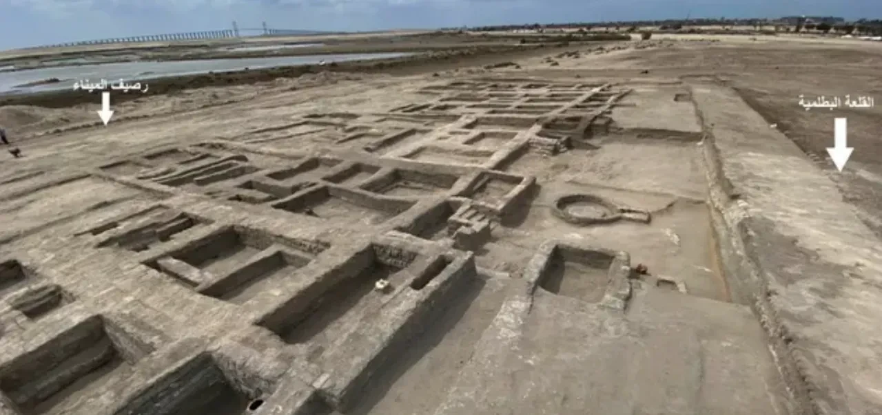 Çölün tam ortasında yüzlerce ağaç varmış! Gizli bahçe 2000 yıl sonra bulundu