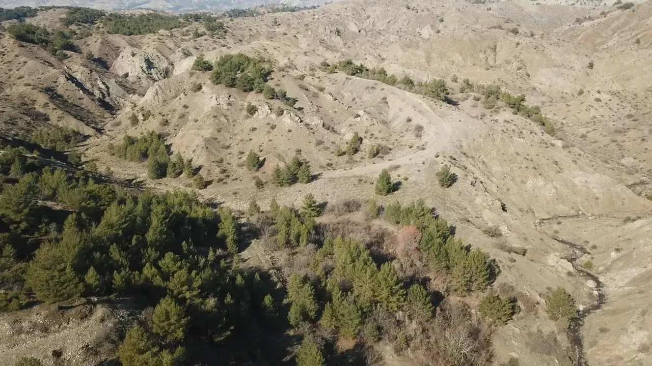 Dağda yürüyüş yaptığı sırada kaybolan vatandaşı jandarma buldu