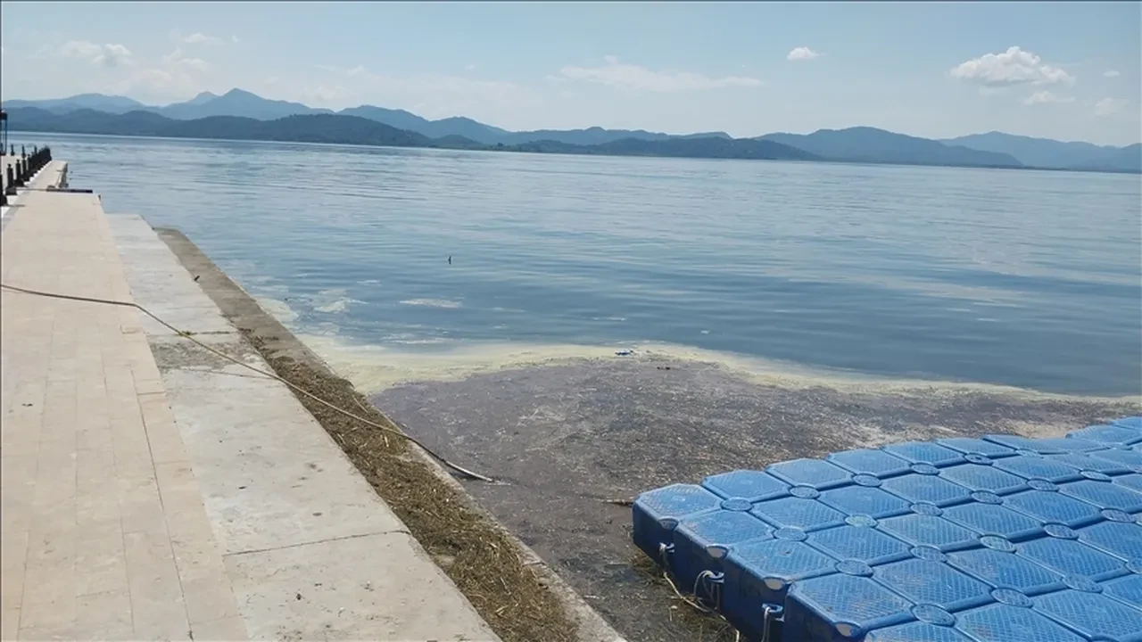Denizin üstünde dönen gizemli madde tespit edildi! Gerçek NASA sayesinde ortaya çıktı