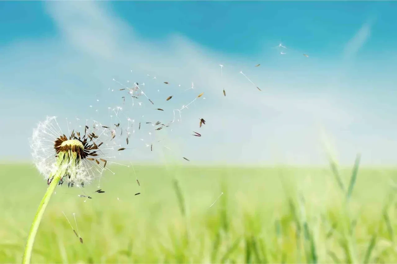 Denizin üstünde dönen gizemli madde tespit edildi! Gerçek NASA sayesinde ortaya çıktı