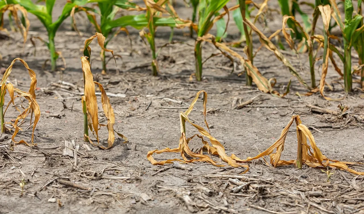 Hindistan-Pakistan Savaşı'ndan Türkiye nasıl etkilenir? Seneler önce öngörülen ihtimaller