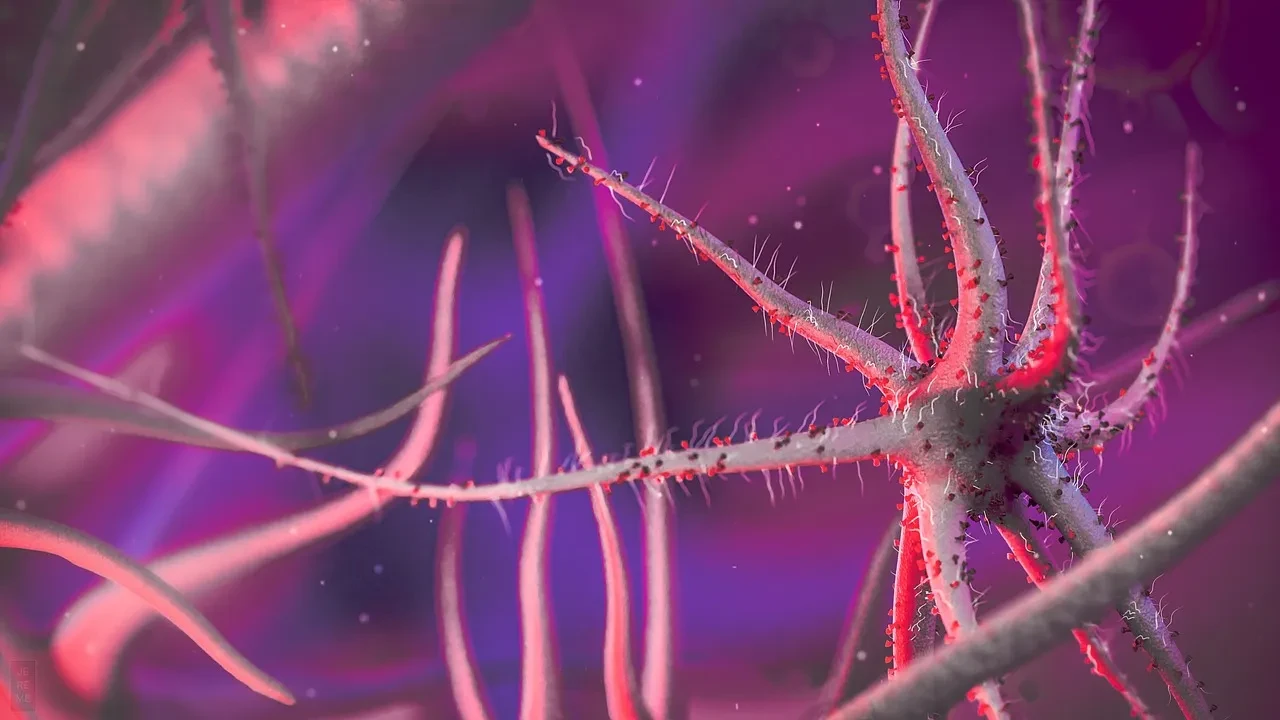 Katil mantar tüm dünyayı tehdit ediyor! Her yıl milyonlarca insanın ölümüne neden oluyor