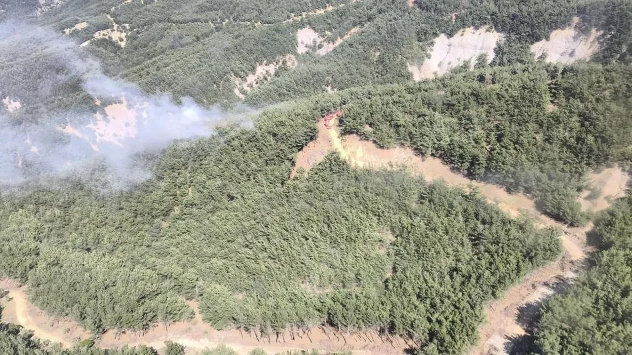 Orman yangınları erken başladı: İlk ihbar Gökçeada'dan!