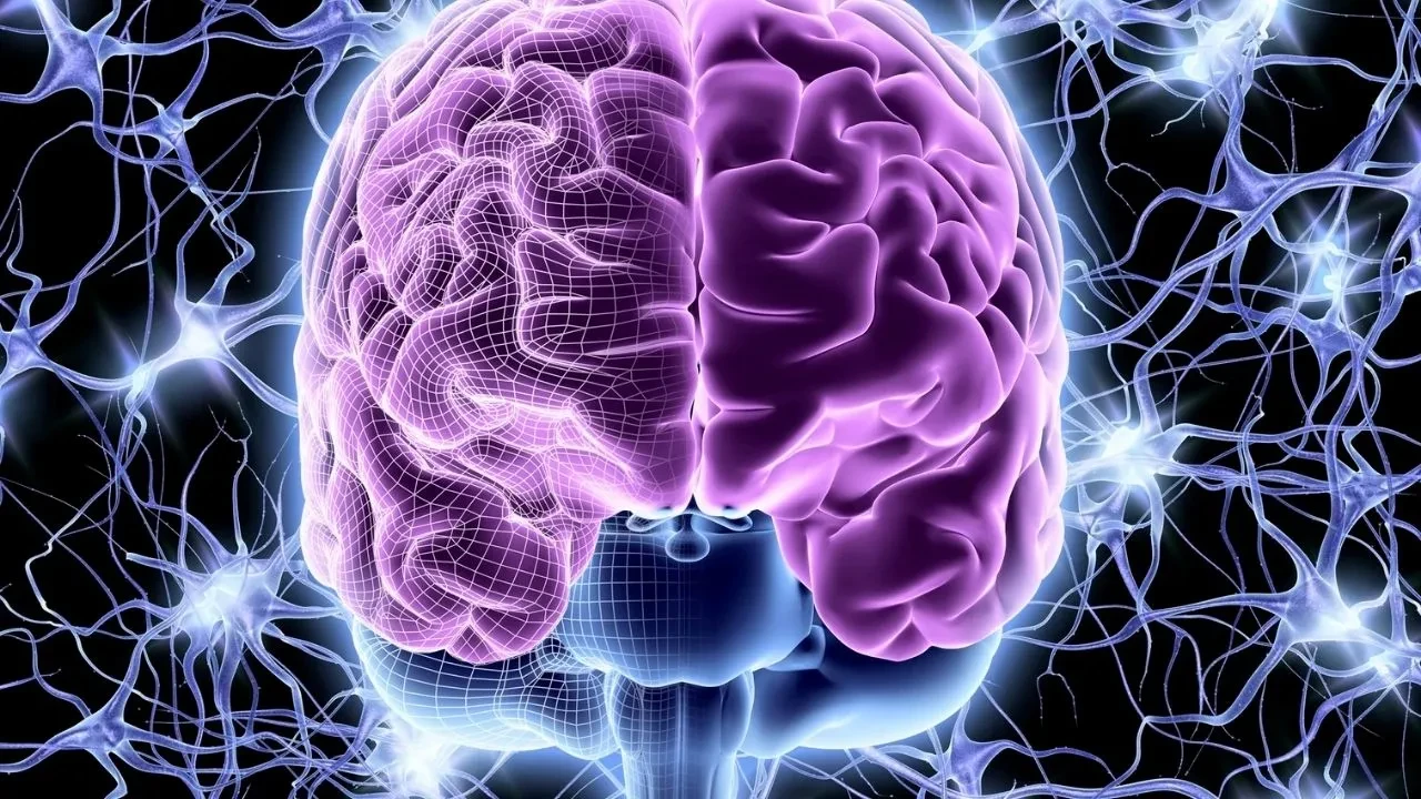 Vücudunuz kadar beyin sağlığınız da önemli! Bu yöntemlerle daha zeki olabilirsiniz