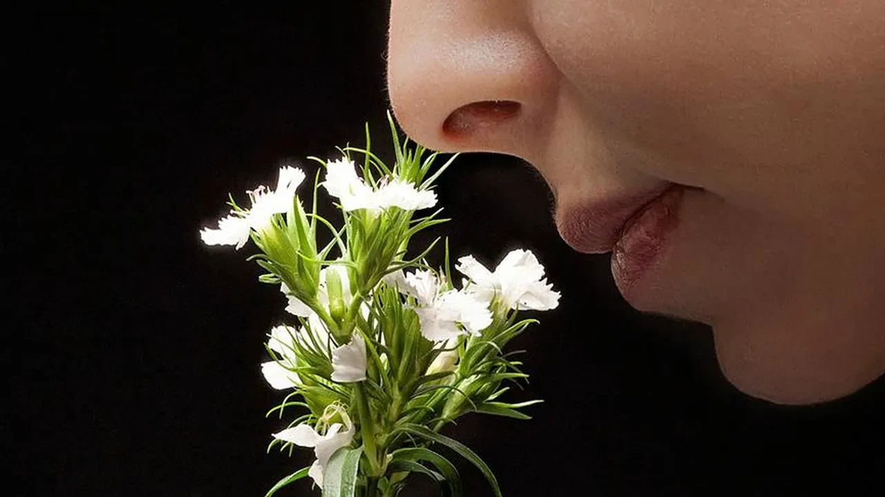 3 yıl boyunca hiçbir kokuyu alamadı! 2 saatte bütün hayatı değişti