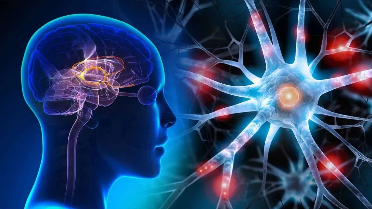 Bu hareketi yapamıyorsanız felç kalabilirsiniz! 30 saniyede beyninizi test edin