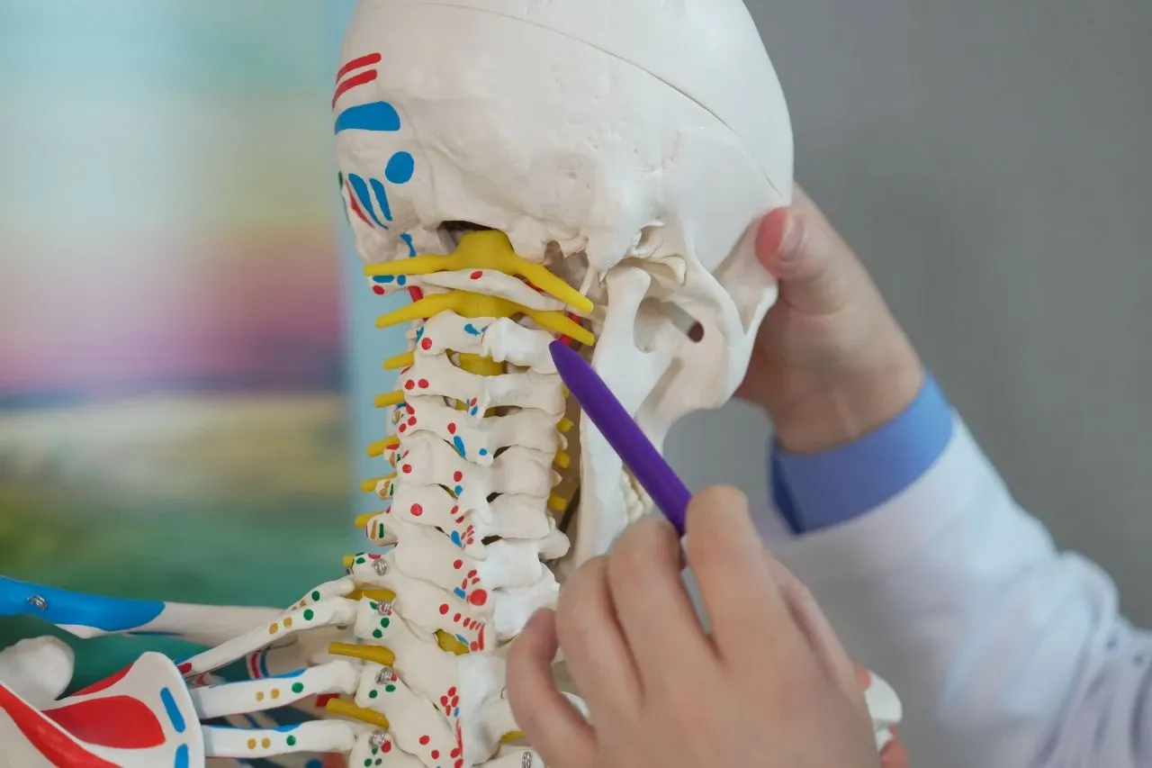 Bu hareketi yapamıyorsanız felç kalabilirsiniz! 30 saniyede beyninizi test edin