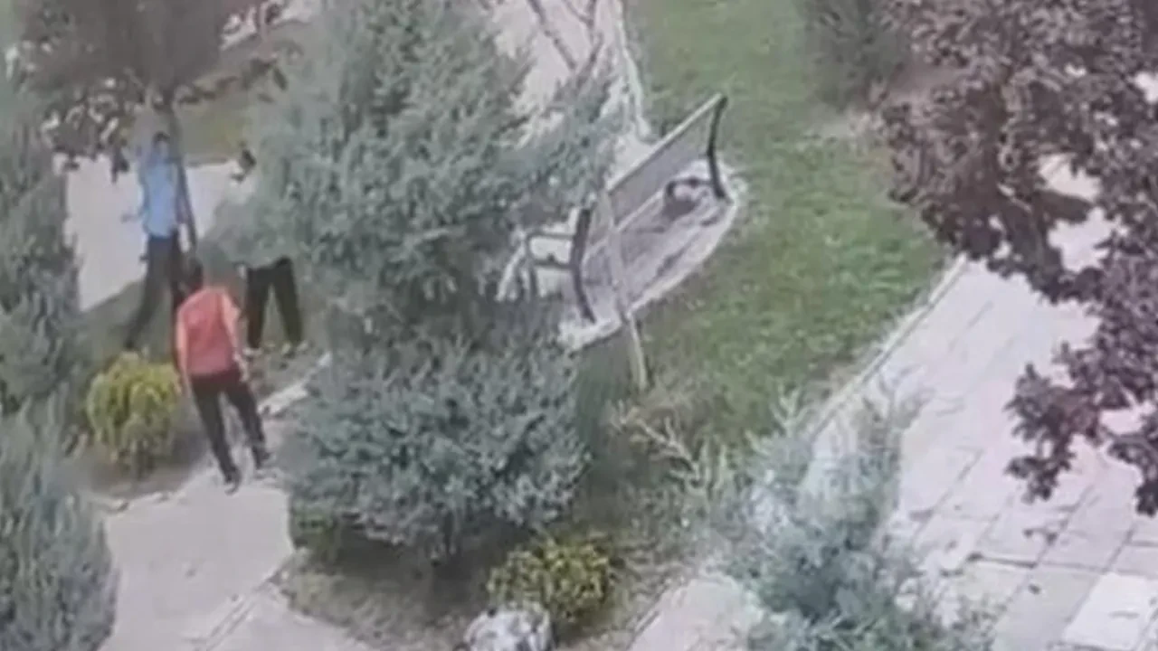 Hiç mi yüreğiniz sızlamadı? Şehir magandaları ağaçlara zarar verdi