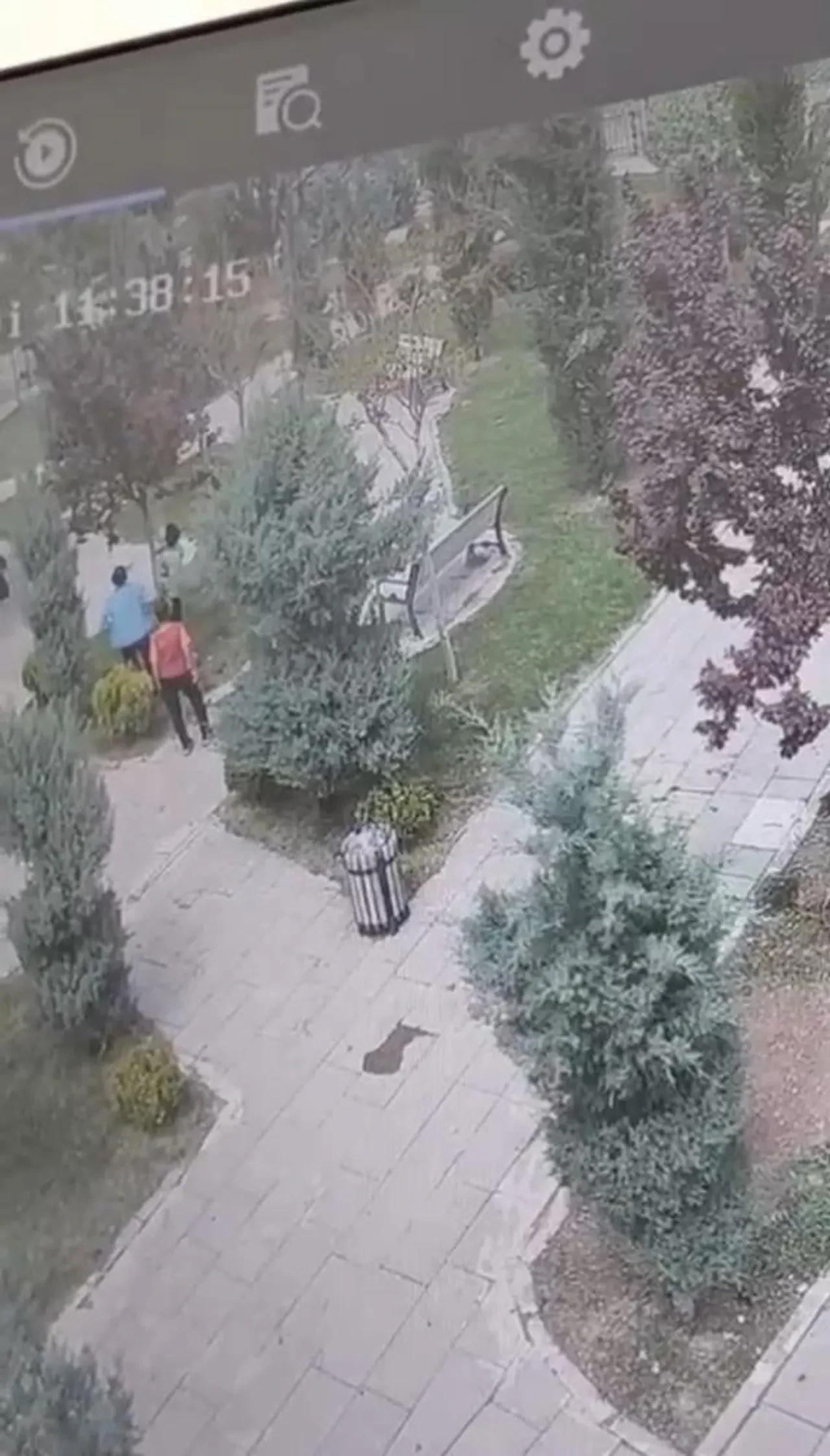 Hiç mi yüreğiniz sızlamadı? Şehir magandaları ağaçlara zarar verdi