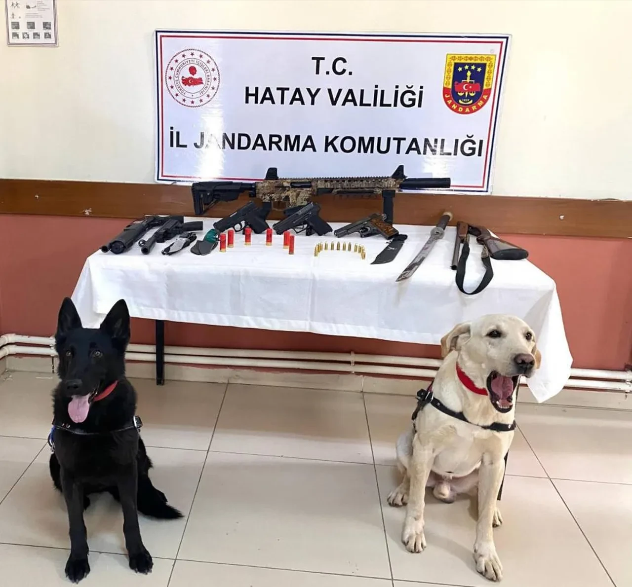 İnsanların canını hiçe saydılar! Eli silahlı şovmenlere jandarmadan operasyon