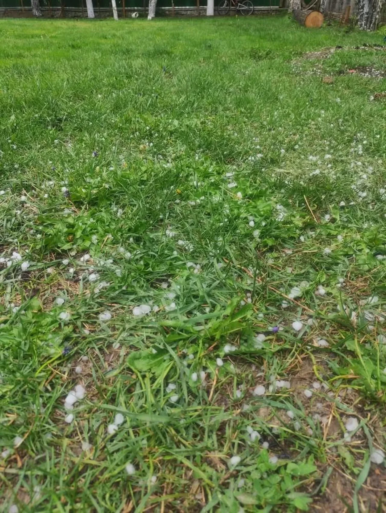 Karabük'te dolu bastırdı! Araçlar hasar gördü, caddeler su altında kaldı