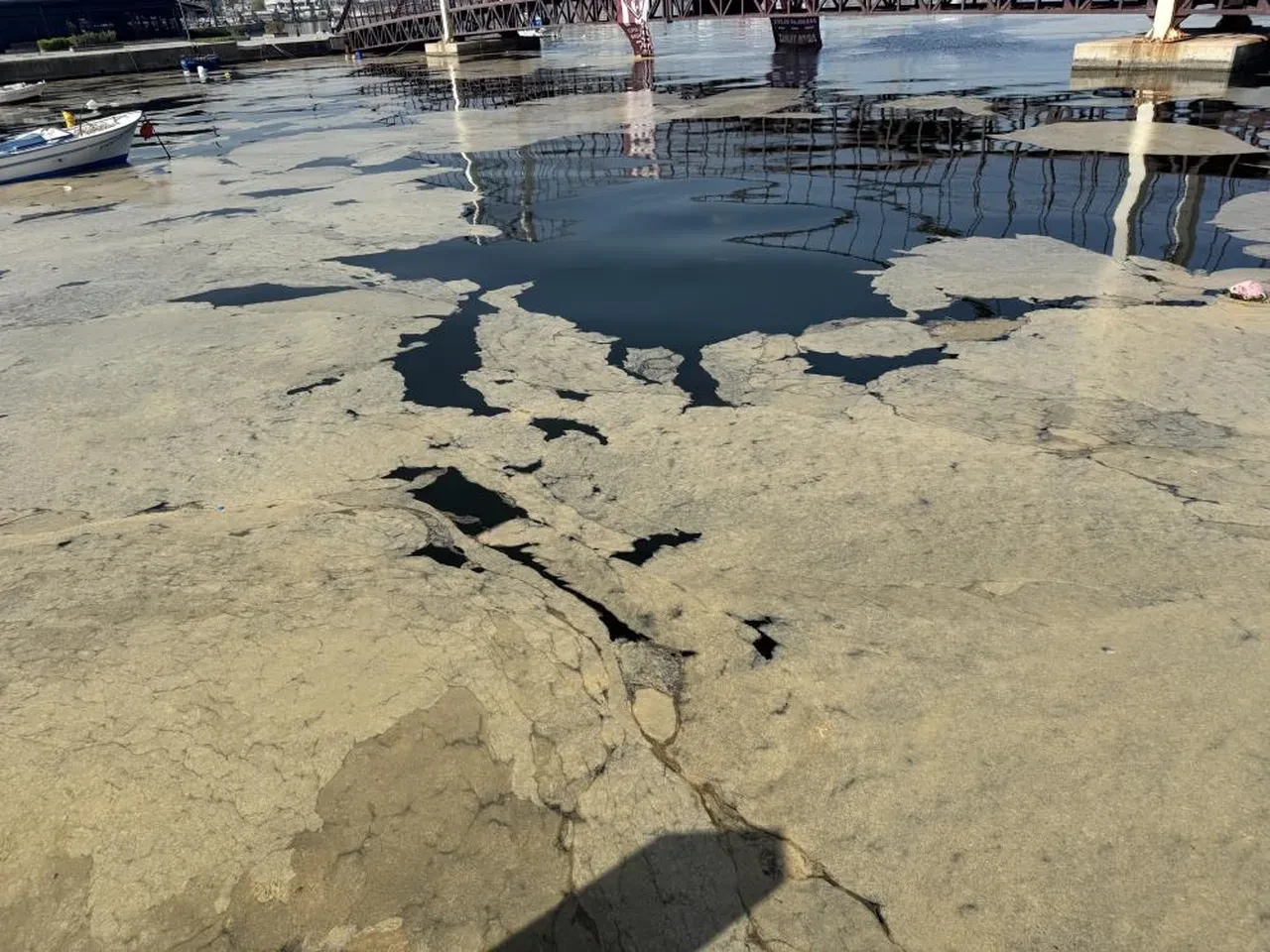 Marmara'da yeniden müsilaj şoku: Turizm ve deniz ekosistemi tehdit altında!