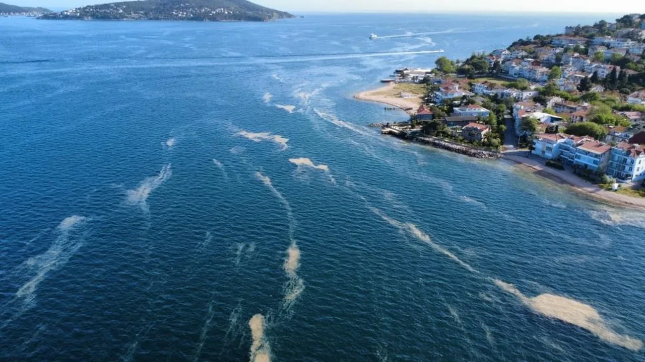 Marmara'da yeniden müsilaj şoku: Turizm ve deniz ekosistemi tehdit altında!