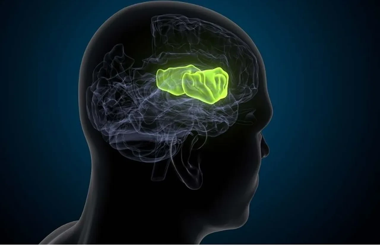 Sinema salonları bu hafta renkli! 11 film vizyona girecek