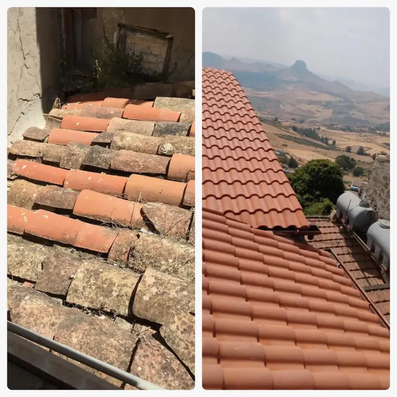 Tanesi 43 TL'ye aldığı evleri malikaneye çevirdi! Neredeyse bedava