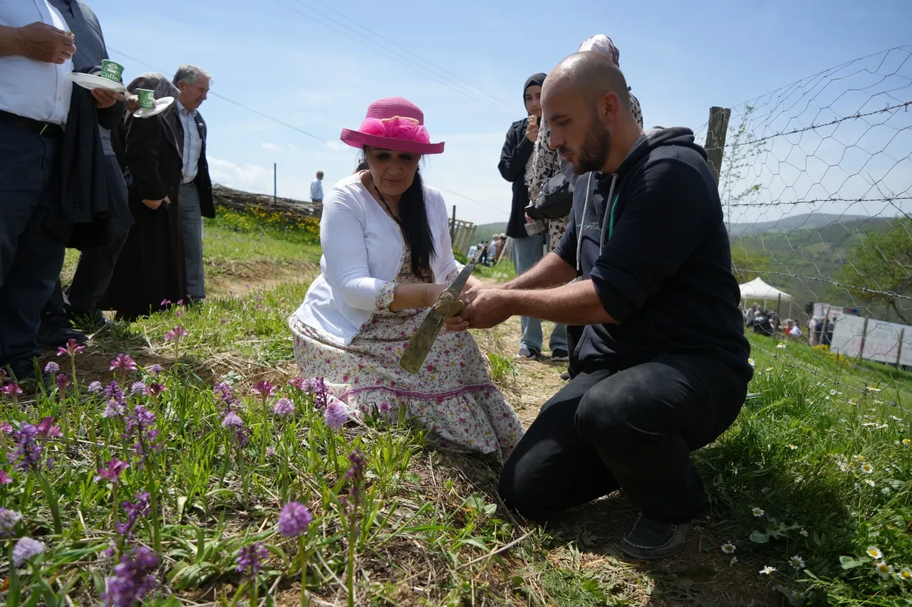 Topraktan çıkan altın! Kilosu 3 bin liradan satılıyor