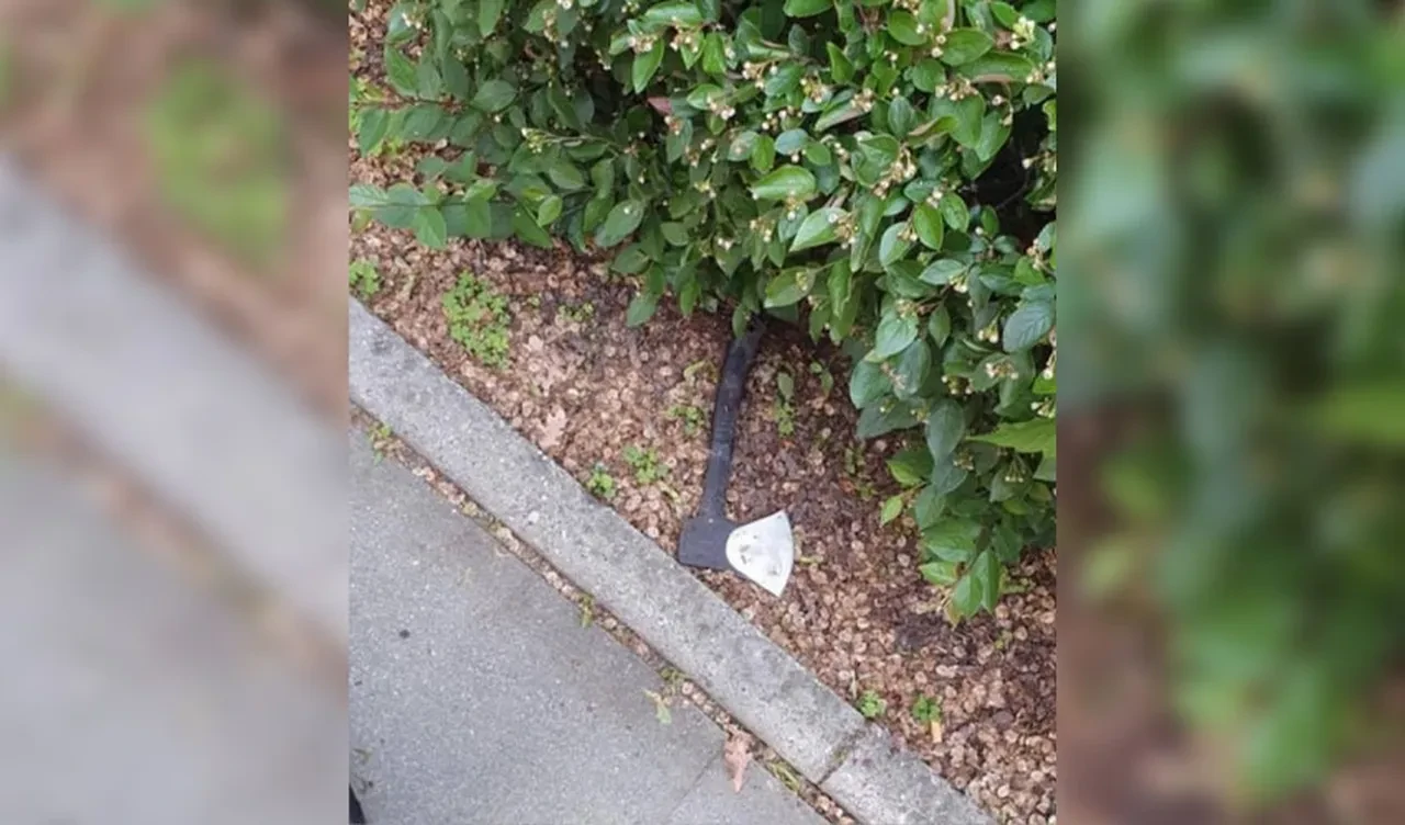 Üniversiteye baltayla dalıp dehşeti yaşattı! Ölü ve yaralı var