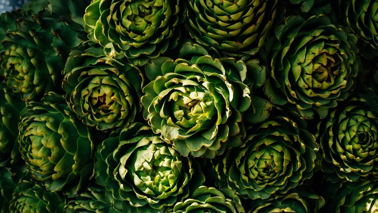 Yemeyen pişman! Uzmanlar tek tek saydı: Bu besin adeta şifa deposu