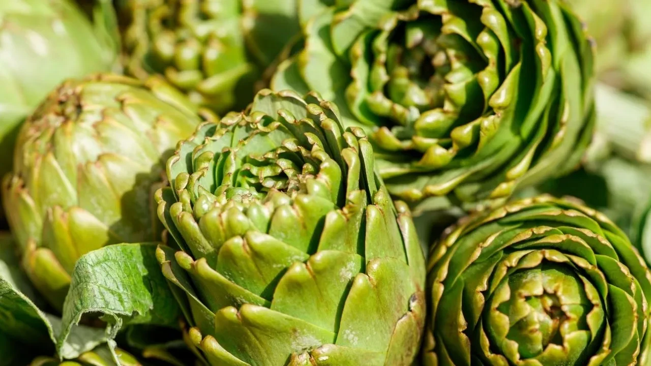 Yemeyen pişman! Uzmanlar tek tek saydı: Bu besin adeta şifa deposu