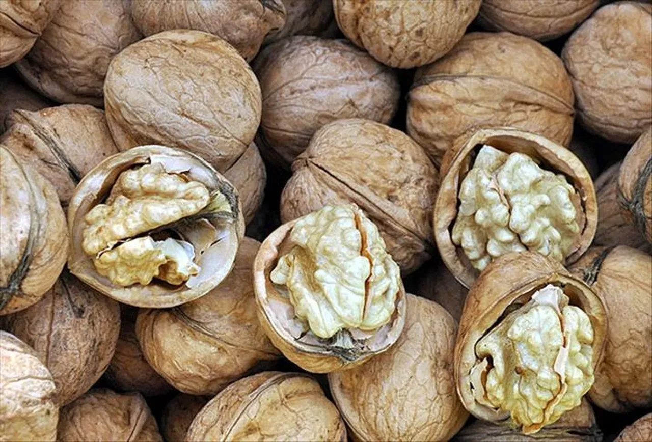 Beyin nöronlarını harekete geçiriyor hafızayı uçuruyor! Sabahları bir avuç yiyin yeter