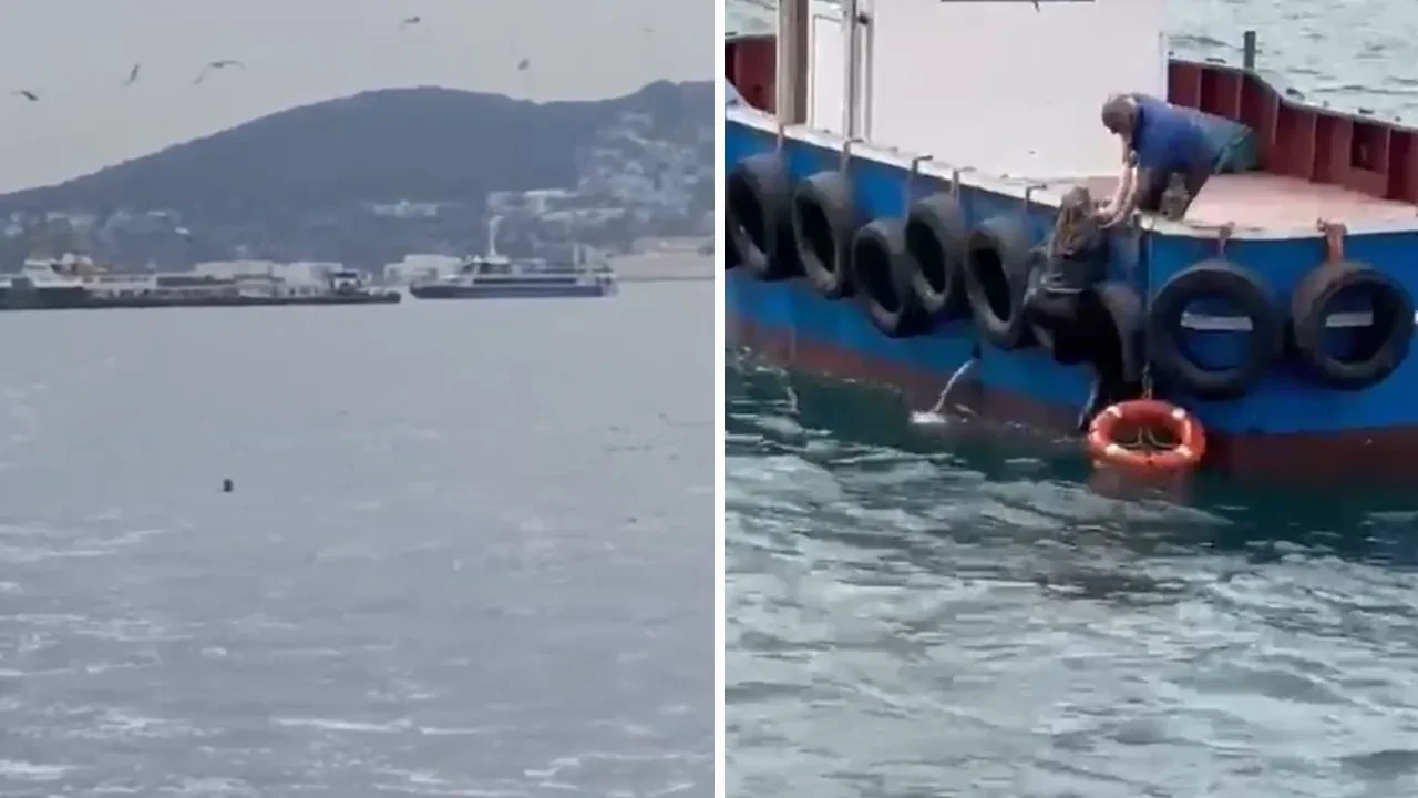 Vapurdan yolcu düştü! İmdadına balıkçı yetişti