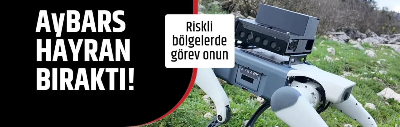 AyBARS HAYRAN BIRAKTI!