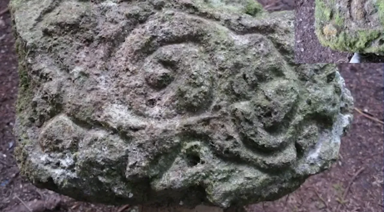 3000 yıllık kayıp antik Maya şehri bulundu! Ormanın içinde gizlenmiş büyük piramit