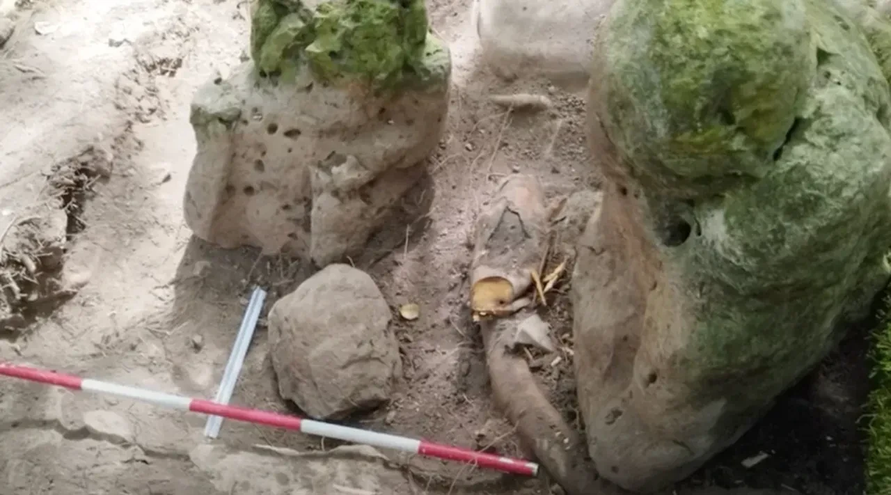 3000 yıllık kayıp antik Maya şehri bulundu! Ormanın içinde gizlenmiş büyük piramit