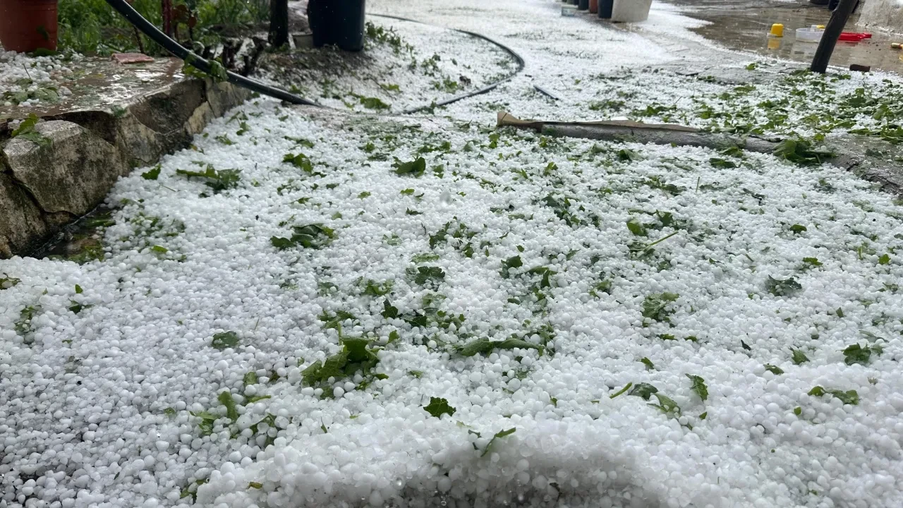 Bir anda geldi, her yeri vurdu: Ceviz büyüklüğündeki dolu, şehri beyaza bürüdü